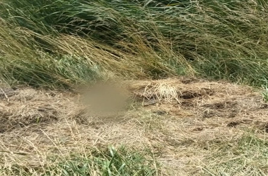 Hallan sin vida a un costado de la Ruta 3 a un hombre que era buscado desde hace un mes