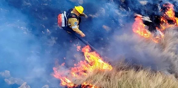 En medio de los incendios, el Gobierno destina más de $100 mil millones a Bomberos Voluntarios