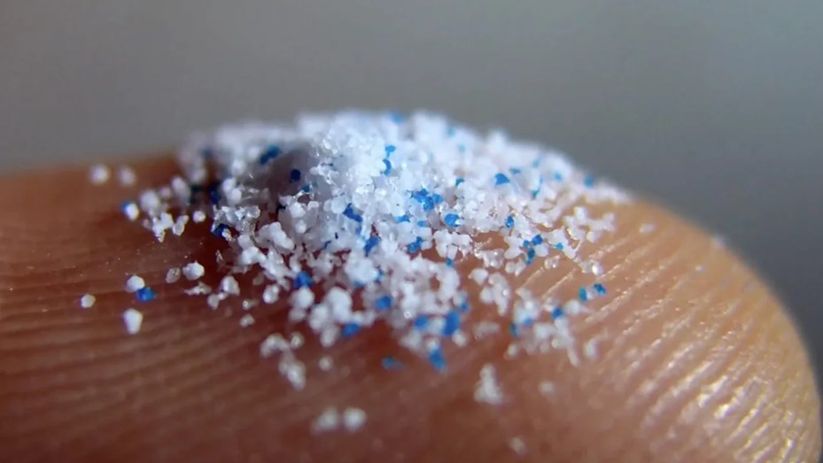 Un estudio halló niveles alarmantes de microplásticos en el cerebro