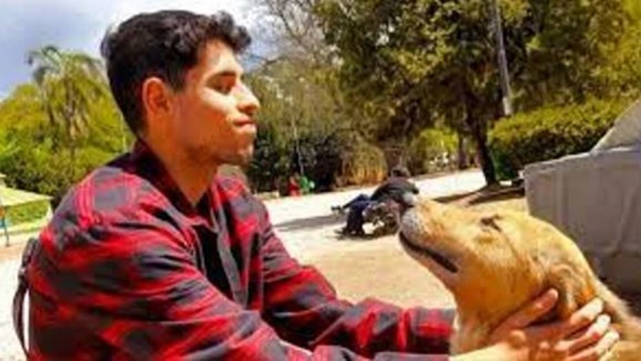 Creó una app para buscar mascotas perdidas que ya se usa en la Patagonia por los incendios
