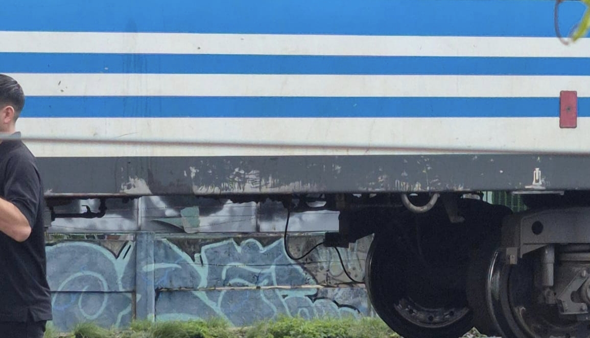 Una mujer falleció tras arrojarse al paso del Tren Roca en Banfield