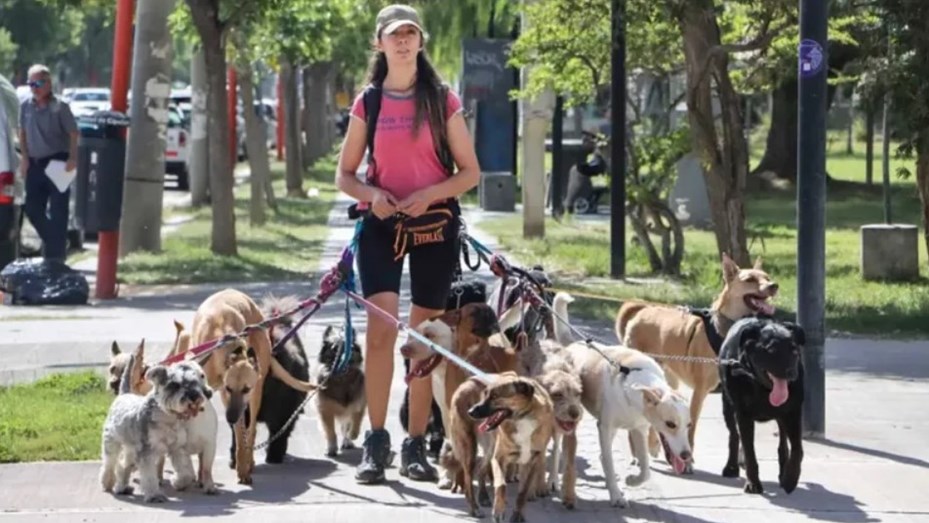 La UBA lanzó un curso gratuito para paseadores de perros profesionales