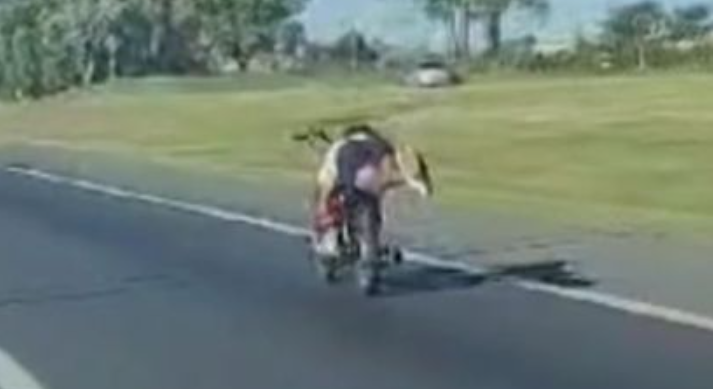 Motociclista haciendo 