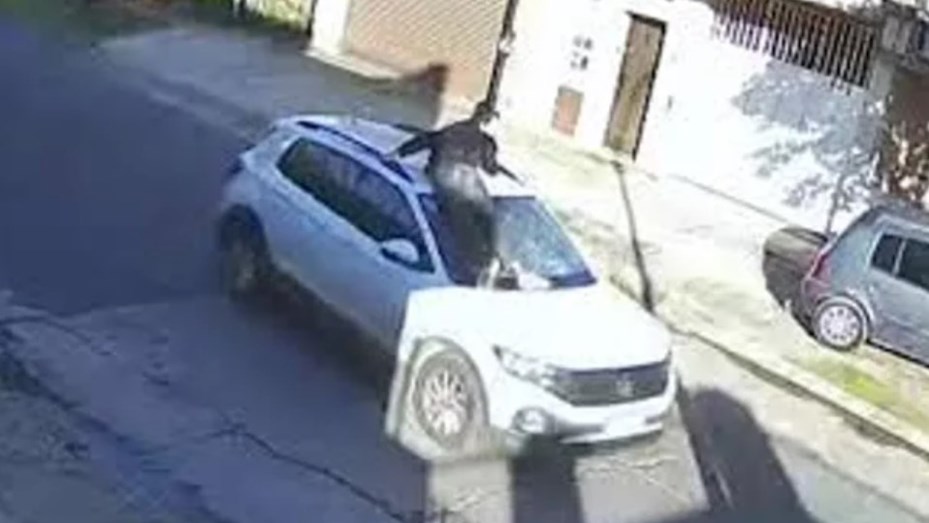 Inhabilitaron a la conductora que arrastr&oacute; a un joven tras un choque en la v&iacute;a p&uacute;blica