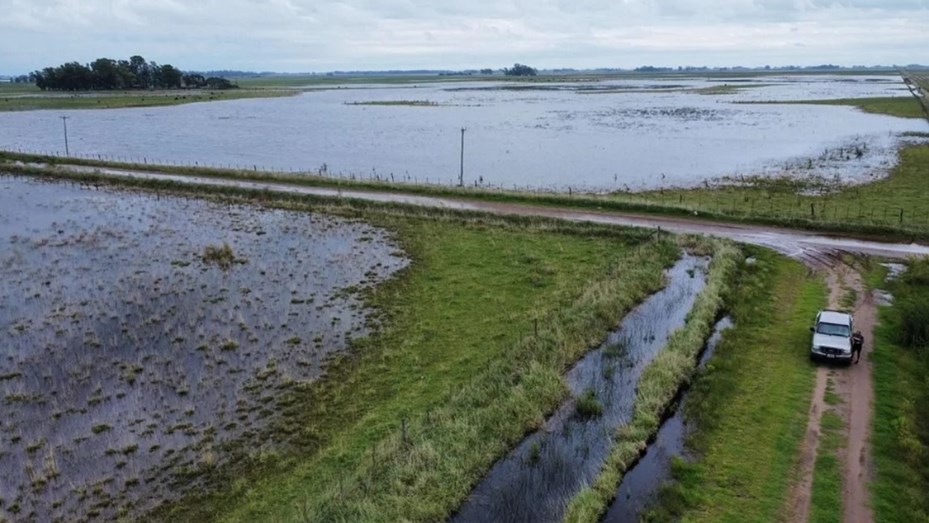 Bullrich visitará 9 de Julio para coordinar asistencia tras las inundaciones